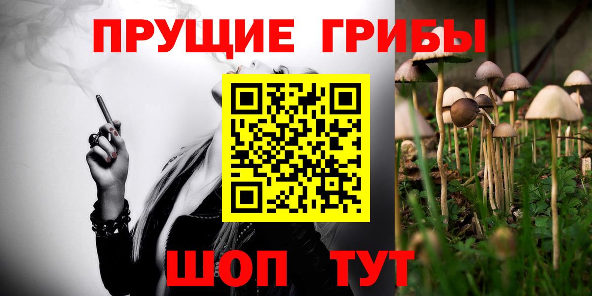 Арсеньев  Галлюциногенные грибы прущие грибы  Вход с VPN  Галлюциногенные грибы ЛСД 
